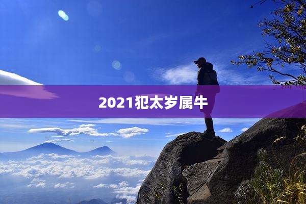 2021犯太岁属牛