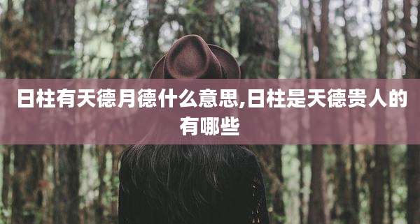 日柱有天德月德什么意思,日柱是天德贵人的有哪些