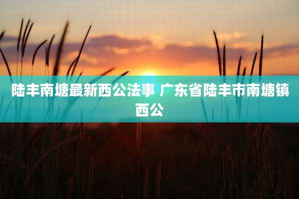 陆丰南塘最新西公法事 广东省陆丰市南塘镇西公