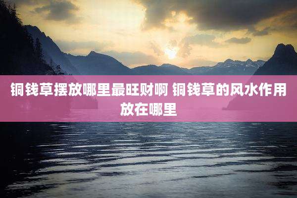 铜钱草摆放哪里最旺财啊 铜钱草的风水作用放在哪里