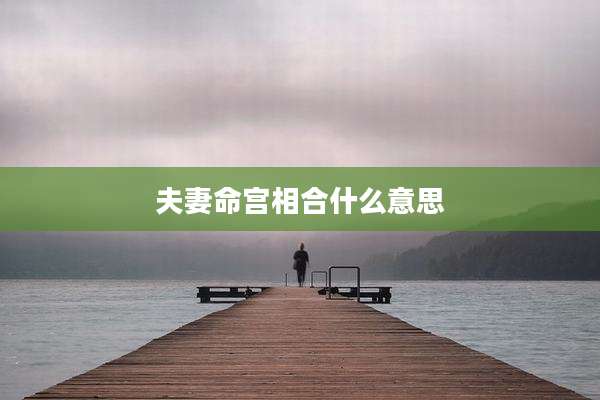 夫妻命宫相合什么意思
