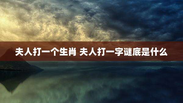 夫人打一个生肖 夫人打一字谜底是什么