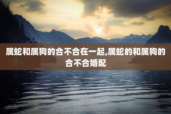属蛇和属狗的合不合在一起,属蛇的和属狗的合不合婚配