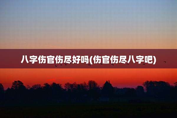八字伤官伤尽好吗(伤官伤尽八字吧)
