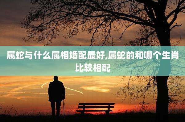 属蛇与什么属相婚配最好,属蛇的和哪个生肖比较相配