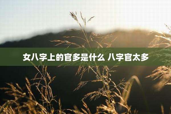 女八字上的官多是什么 八字官太多