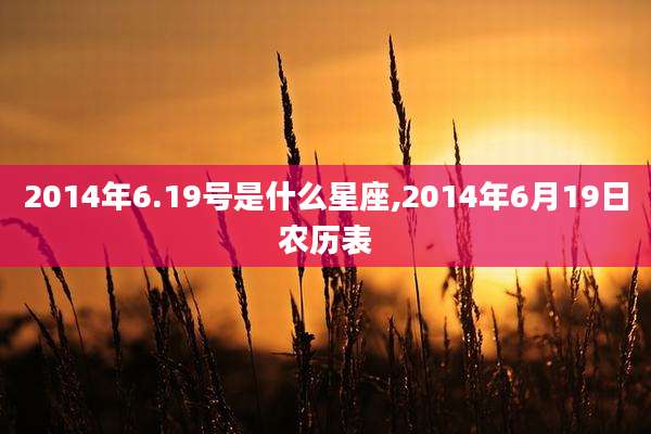 2014年6.19号是什么星座,2014年6月19日农历表
