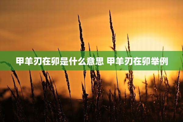 甲羊刃在卯是什么意思 甲羊刃在卯举例