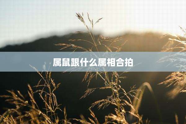 属鼠跟什么属相合拍