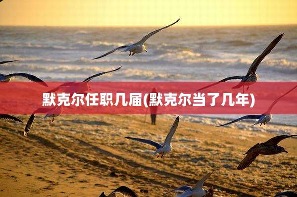 默克尔任职几届(默克尔当了几年)