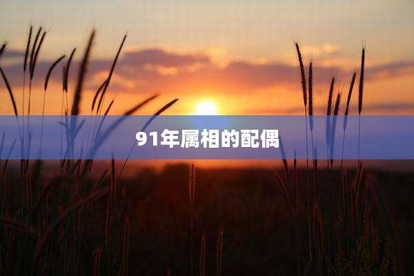 91年属相的配偶