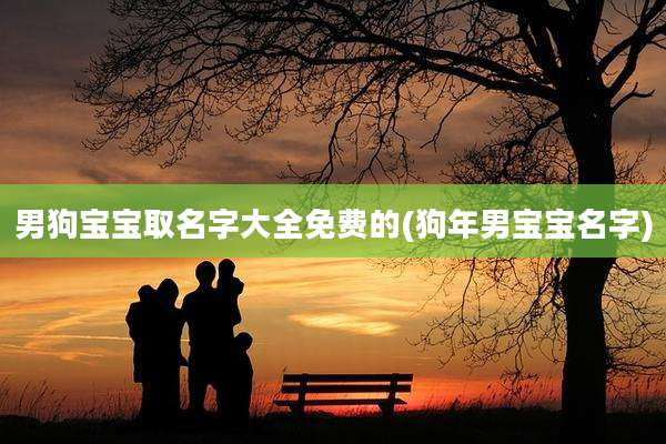 男狗宝宝取名字大全免费的(狗年男宝宝名字)
