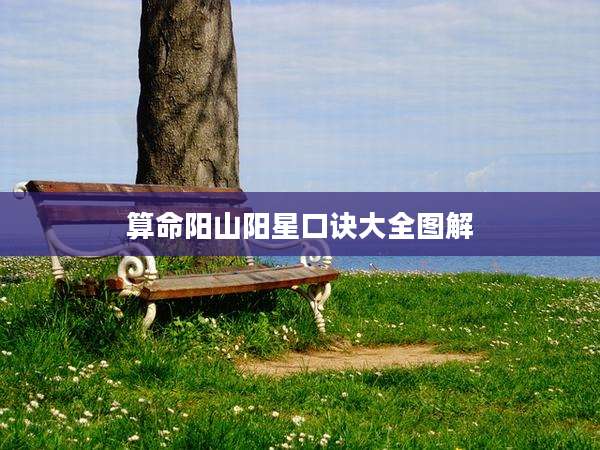 算命阳山阳星口诀大全图解