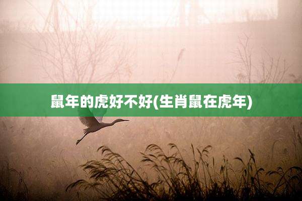 鼠年的虎好不好(生肖鼠在虎年)