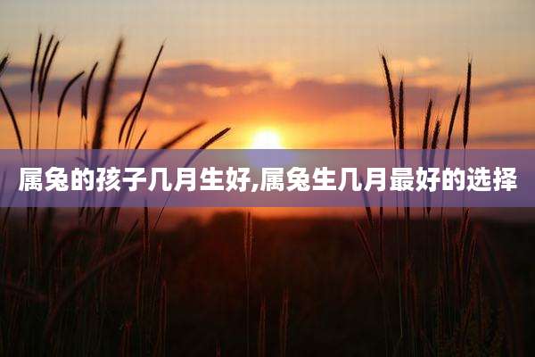 属兔的孩子几月生好,属兔生几月最好的选择