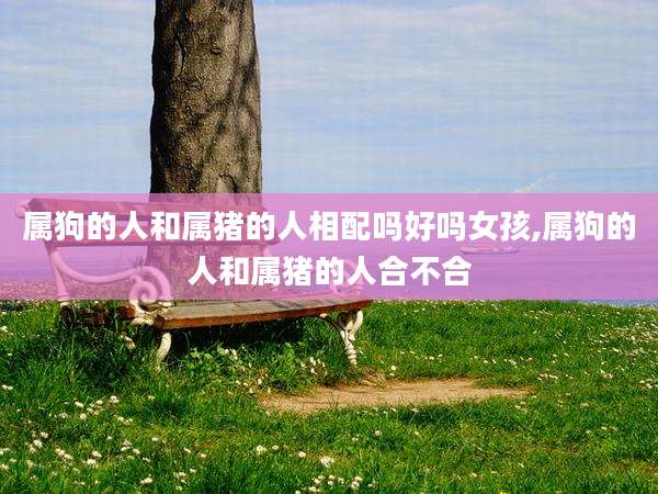 属狗的人和属猪的人相配吗好吗女孩,属狗的人和属猪的人合不合
