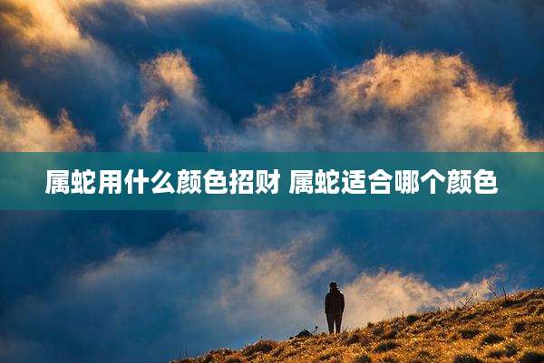 属蛇用什么颜色招财 属蛇适合哪个颜色
