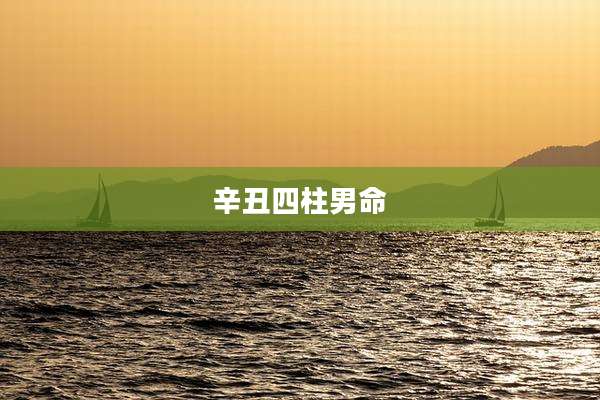 辛丑四柱男命