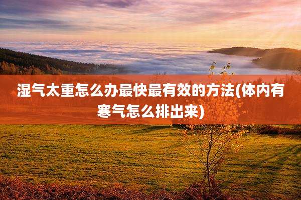 湿气太重怎么办最快最有效的方法(体内有寒气怎么排出来)