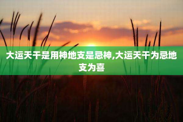大运天干是用神地支是忌神,大运天干为忌地支为喜
