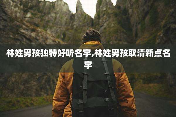 林姓男孩独特好听名字,林姓男孩取清新点名字