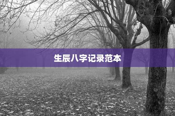 生辰八字记录范本
