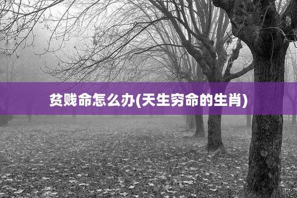 贫贱命怎么办(天生穷命的生肖)