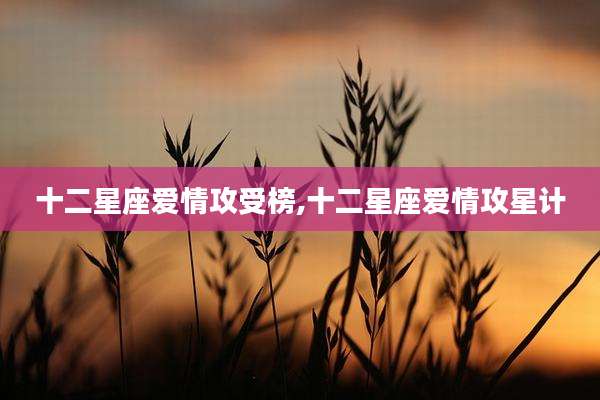 十二星座爱情攻受榜,十二星座爱情攻星计