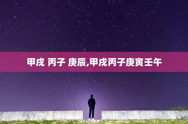 甲戌 丙子 庚辰,甲戌丙子庚寅壬午