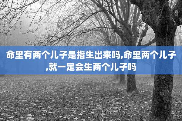 命里有两个儿子是指生出来吗,命里两个儿子,就一定会生两个儿子吗