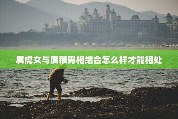 属虎女与属猴男相结合怎么样才能相处