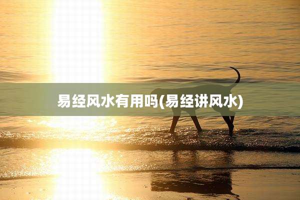 易经风水有用吗(易经讲风水)