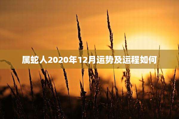 属蛇人2020年12月运势及运程如何