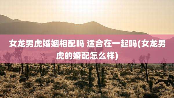 女龙男虎婚姻相配吗 适合在一起吗(女龙男虎的婚配怎么样)