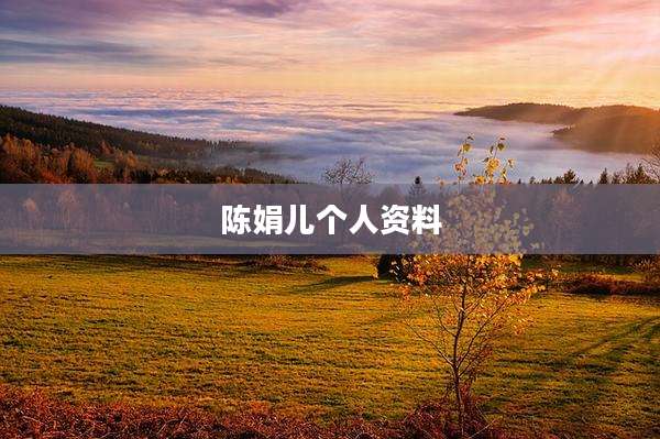 陈娟儿个人资料
