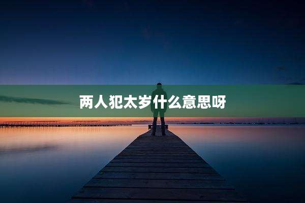 两人犯太岁什么意思呀