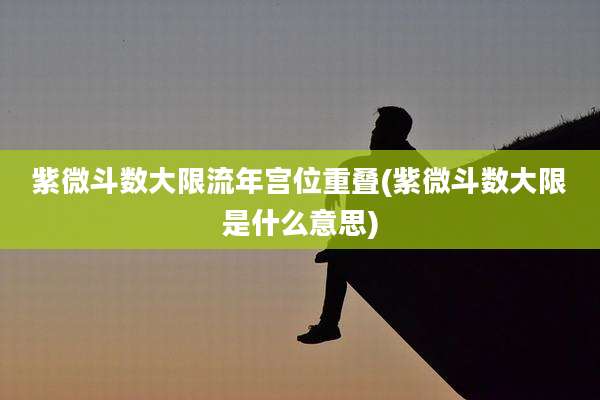 紫微斗数大限流年宫位重叠(紫微斗数大限是什么意思)