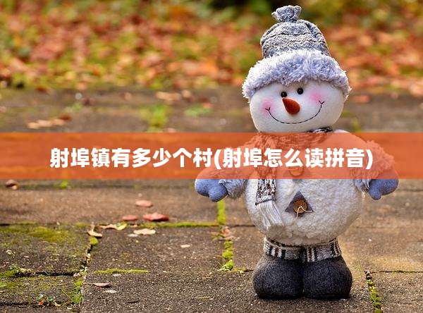 射埠镇有多少个村(射埠怎么读拼音)