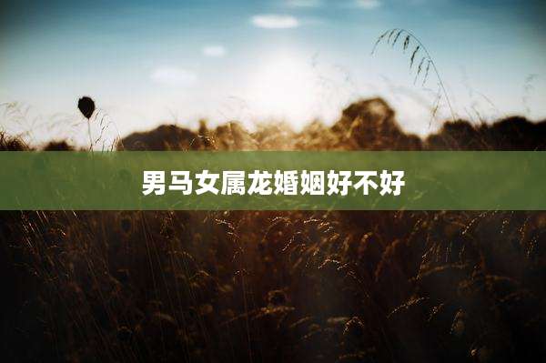 男马女属龙婚姻好不好