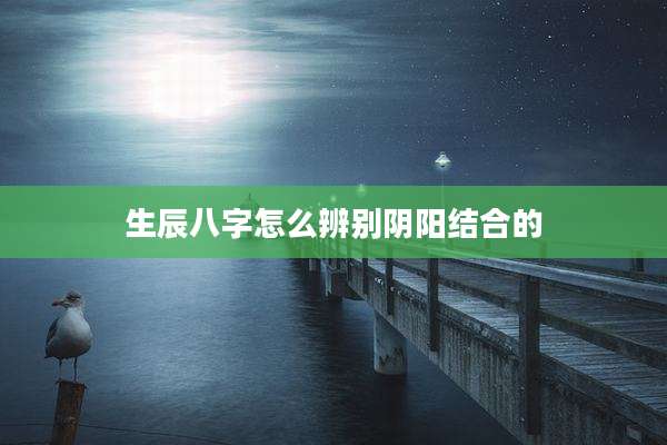 生辰八字怎么辨别阴阳结合的