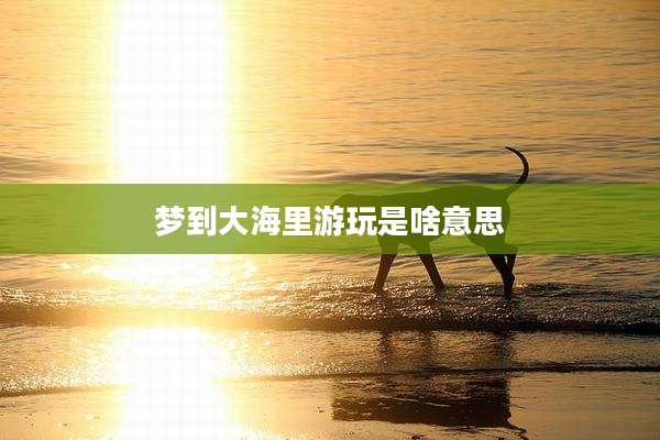梦到大海里游玩是啥意思