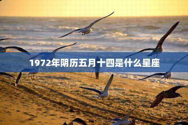 1972年阴历五月十四是什么星座