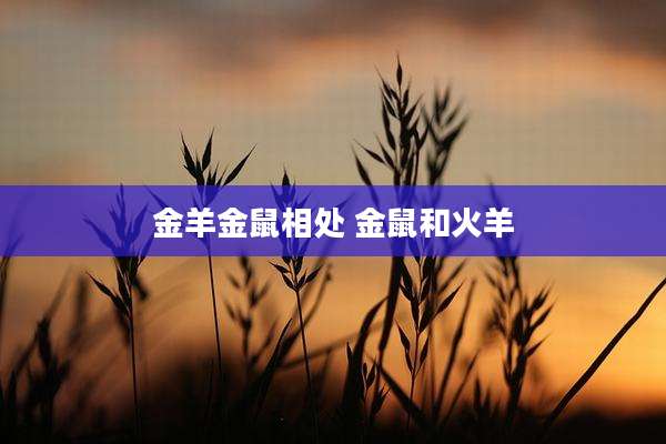 金羊金鼠相处 金鼠和火羊