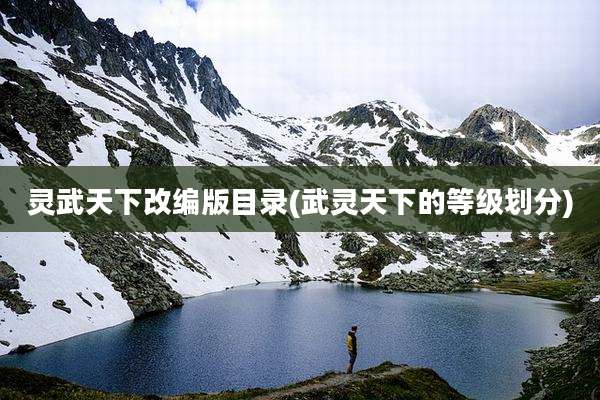 灵武天下改编版目录(武灵天下的等级划分)