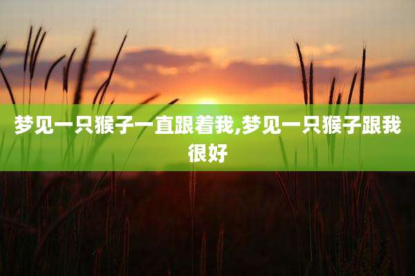 梦见一只猴子一直跟着我,梦见一只猴子跟我很好
