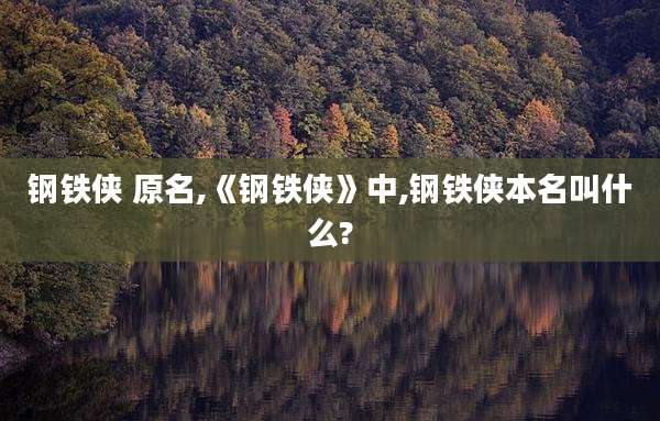 钢铁侠 原名,《钢铁侠》中,钢铁侠本名叫什么?