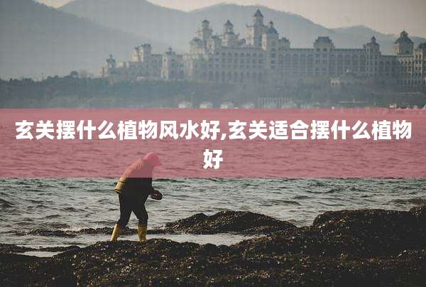 玄关摆什么植物风水好,玄关适合摆什么植物好
