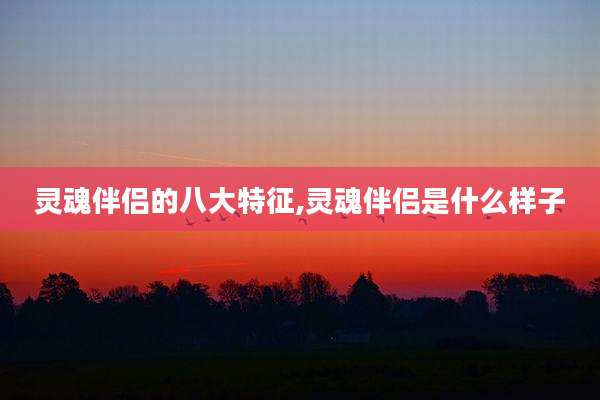 灵魂伴侣的八大特征,灵魂伴侣是什么样子