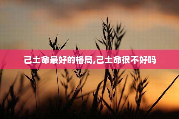 己土命最好的格局,己土命很不好吗