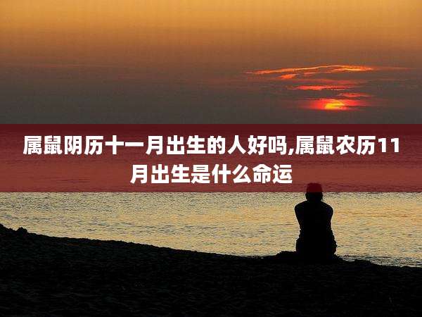 属鼠阴历十一月出生的人好吗,属鼠农历11月出生是什么命运